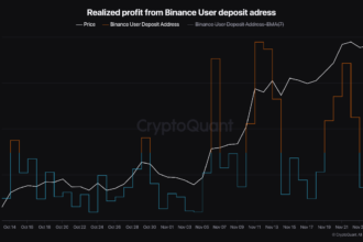 Binance Data Reveals Bitcoin Profit Trends: Is the Bull Run Far From Over?