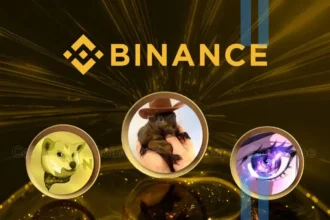 Binance Expands Support for ACT, NEIRO and PNUT, Will Prices Rally Further?