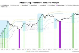 Bitcoin LTHs Start Taking Profits – Metrics Reveal Whales Are Actively Spending