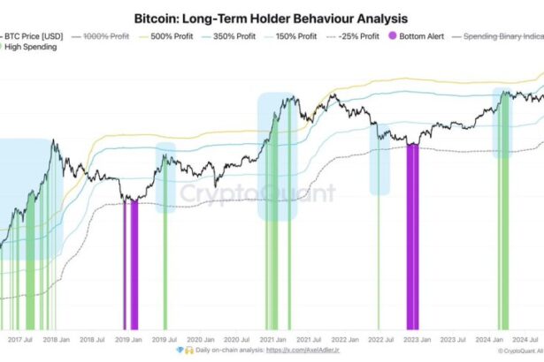 Bitcoin LTHs Start Taking Profits – Metrics Reveal Whales Are Actively Spending