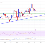 Bitcoin Price on the Rise: Is There More Fuel for the Rally?