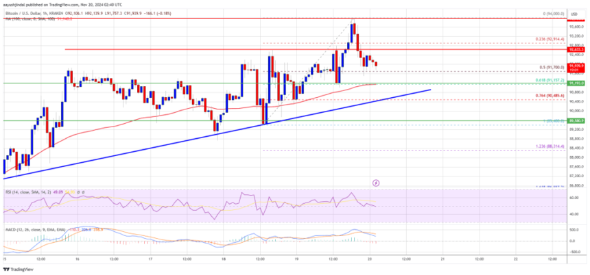 Bitcoin Price on the Rise: Is There More Fuel for the Rally?