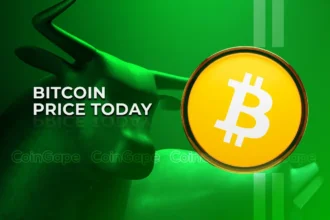 Bitcoin Price Today: Monthly Chart Reveals BTC’s Bull Market Target