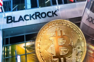 BlackRock Exec Refutes ‘Risk-On’ Tag For Bitcoin, Here’s Why