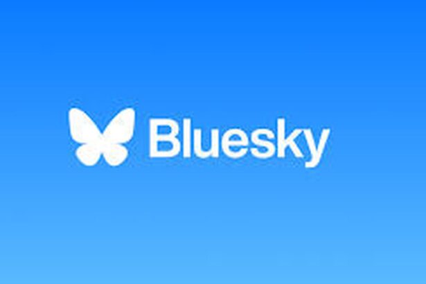 Bluesky gains 1.25 million users post-election surge