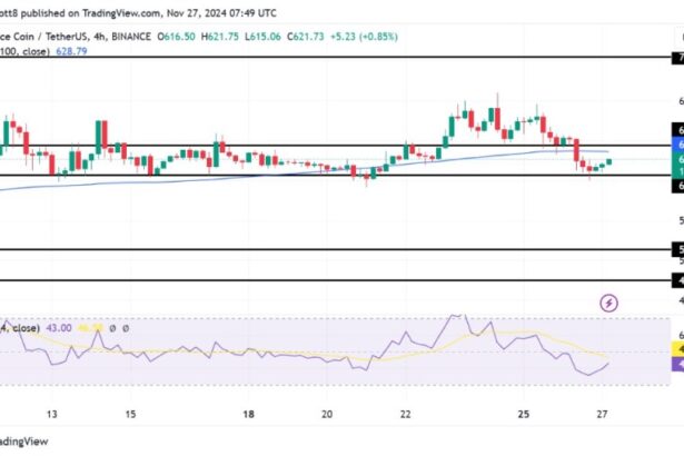 BNB Eyes Recovery: $605 Support Sets The Stage For A New Rally