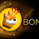 BONK Surpasses WIF: Solana’s Top Meme Coin Preps for 1 Trillion Token Burn