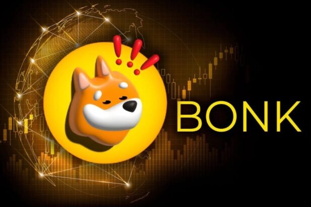 BONK Surpasses WIF: Solana’s Top Meme Coin Preps for 1 Trillion Token Burn