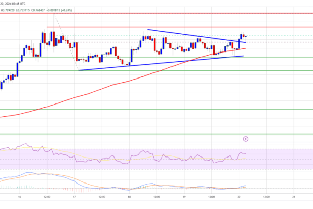 Cardano (ADA) Sets Sights on New Gains: Is a Surge Imminent?