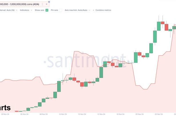 Cardano Whales Buy The Dip – Metrics Show Increasing Demand