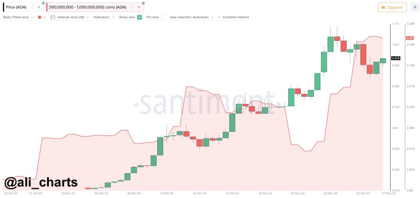 Cardano Whales Buy The Dip – Metrics Show Increasing Demand