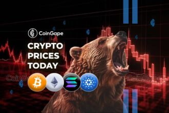 Cryptocurrency Market Today Nov 28: BTC Regains $96K, ETH Up 9%, ENS Shoots 50%