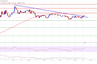 Dogecoin (DOGE) Eyes $0.50 Again: Is a New Rally on the Horizon?