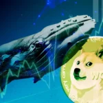 Dogecoin Whale Accumulation Sparks Optimism, DOGE To Rally 9000% Ahead?