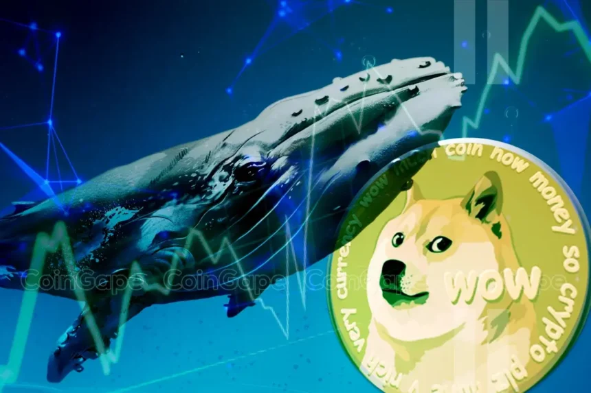 Dogecoin Whale Accumulation Sparks Optimism, DOGE To Rally 9000% Ahead?