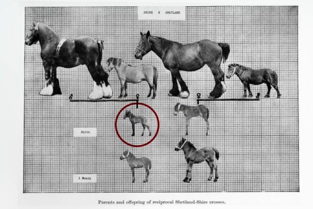 Epigenetics and Obesity 