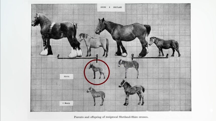 Epigenetics and Obesity 