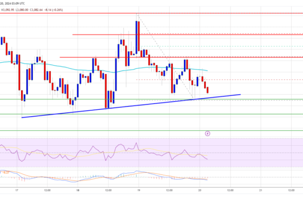 Ethereum Price Faces Challenges: Will It Find Traction Soon?