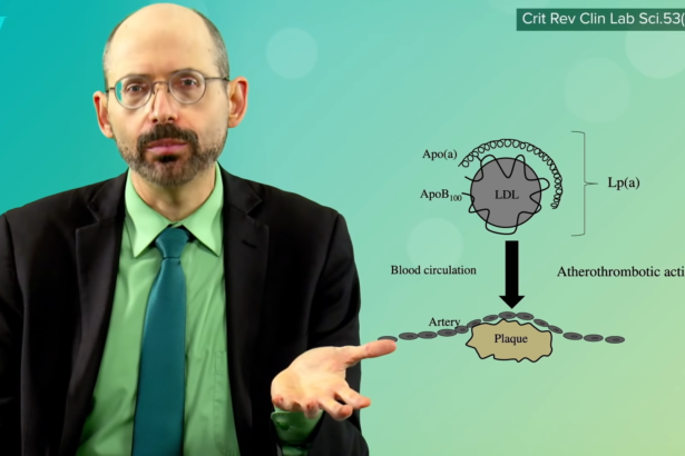 How to Treat High Lp(a), an Atherosclerosis Risk Factor 