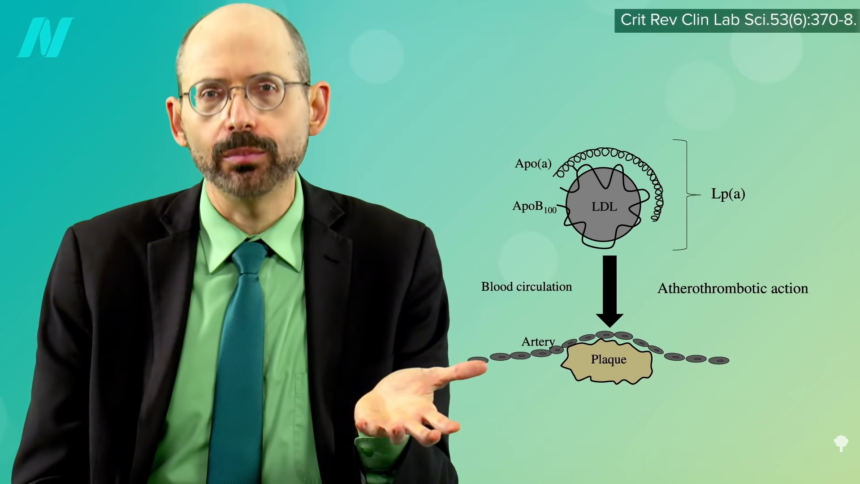 How to Treat High Lp(a), an Atherosclerosis Risk Factor 