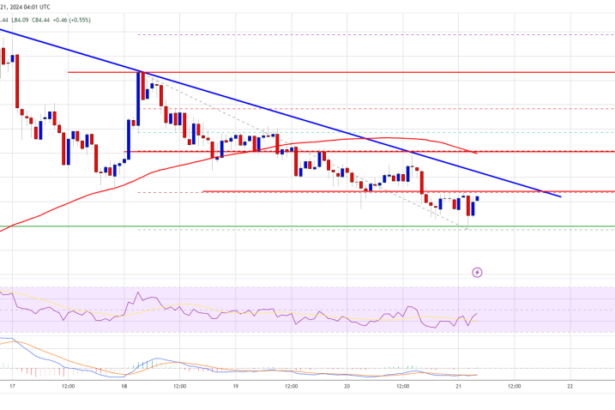 Litecoin (LTC) at a Crossroads: Can It Rebound and Rally?