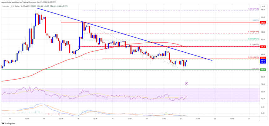 Litecoin (LTC) at a Crossroads: Can It Rebound and Rally?