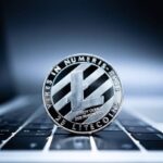 Litecoin Rebrands as Meme Coin, Draws Criticism from Shiba Inu Lead