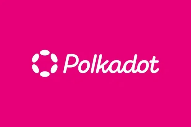 Polkadot 2.0 Brings Elastic Scaling and Global Innovations