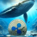 Retail Traders Sell as Whales Accumulate Massive XRP Holdings, What Does It Mean?