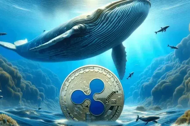 Retail Traders Sell as Whales Accumulate Massive XRP Holdings, What Does It Mean?