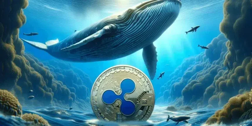 Retail Traders Sell as Whales Accumulate Massive XRP Holdings, What Does It Mean?