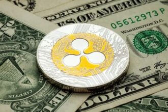 Ripple Burns Majority of USD Tokens – Stablecoin Announcement Incoming?