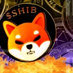 SHIB Burn Rate Surges 2200%, Shiba Inu Eyes Parabolic Rally Ahead?