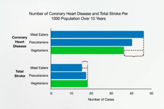 Testing for Vitamin B12 Deficiency 