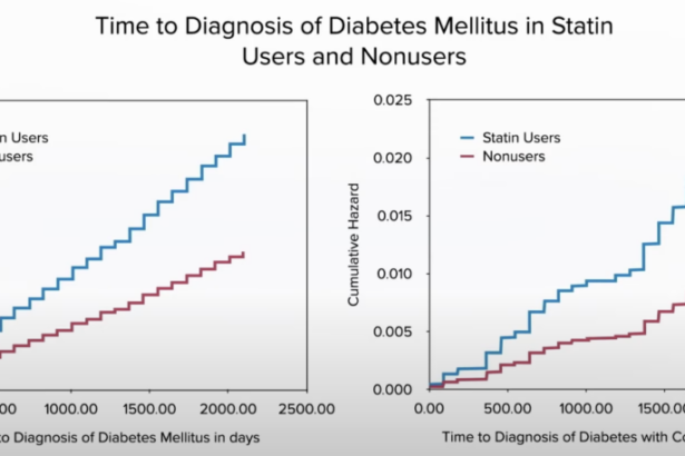 The 411 on Statins