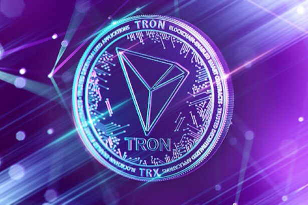 TRON Dominates Stablecoin Market, Handles 92% of USDT Transactions