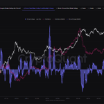 Whale Accumulation Points to Bitcoin Gains, But Here’s Why Investors Should Stay Alert