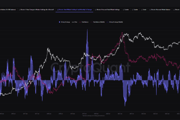 Whale Accumulation Points to Bitcoin Gains, But Here’s Why Investors Should Stay Alert