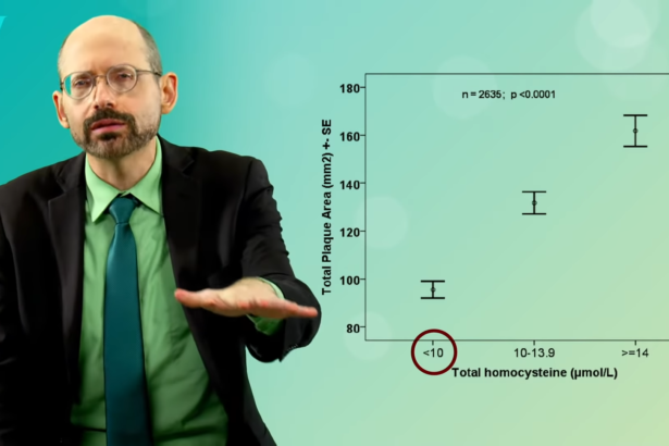 What About Homocysteine, Vitamin B12, and Vegetarians’ Stroke Risk? 