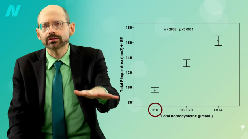 What About Homocysteine, Vitamin B12, and Vegetarians’ Stroke Risk? 