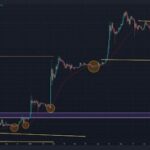 What The 50-Day Moving Average At $0.22 Says About The Dogecoin Price