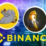 WHY & CHEEMS Under Investors’ Radars As Binance Expands Support, What’s Next?