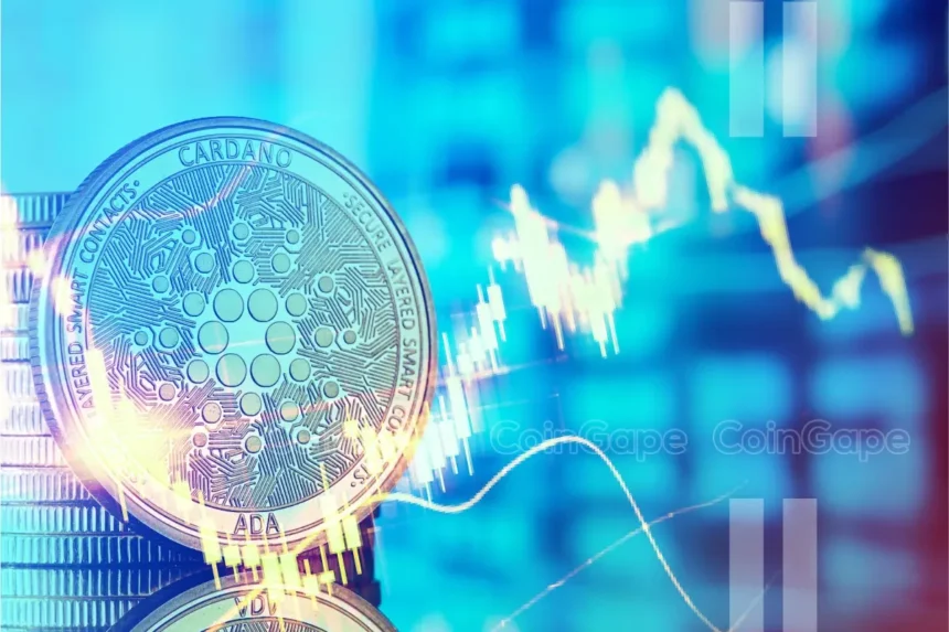 Will Cardano Price Continue To Rally Amid Bullish On-Chain Metrics?