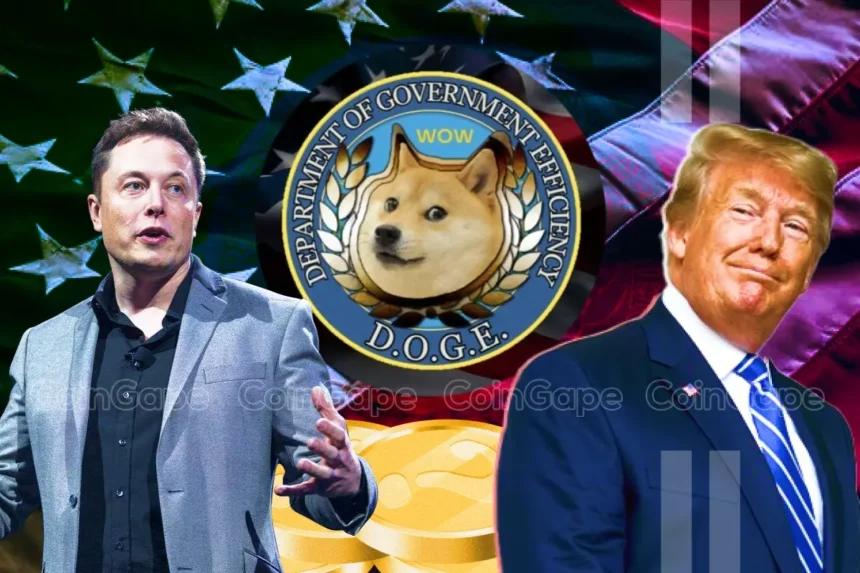 Will Elon Musk’s D.O.G.E. Probe US SEC Spending On Ripple CLO’s Request?