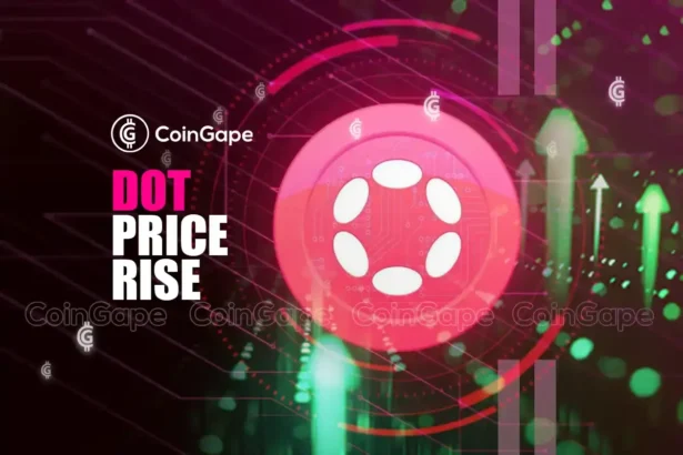 Will Polkadot Price Continue To Rally Following 100% Surge?