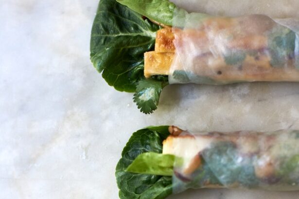 Wintery Spring Rolls