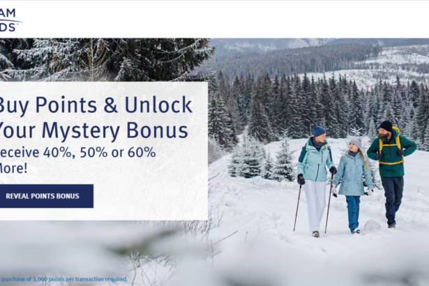 Wyndham Rewards Buy Points Up To 60% Bonus Through November 30, 2024