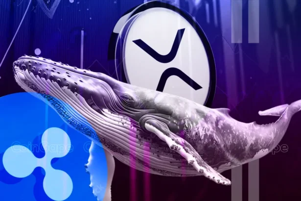 XRP News: Ripple Whales Bag $526M Coins As XRP Eyes Rally To $7.5