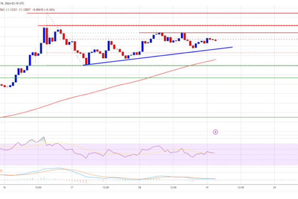 XRP Price Holds Strong, Aiming for More Upside Moves