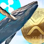 XRP Whales Move 139M Coins As Ripple Case Near Potential End